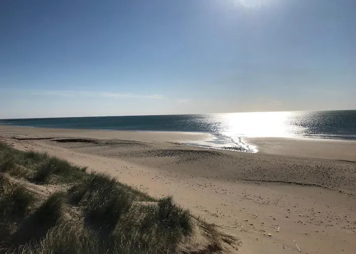 Campsite Les Payolles Saint-Georges-d'Oleron